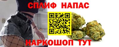 гидра Будённовск