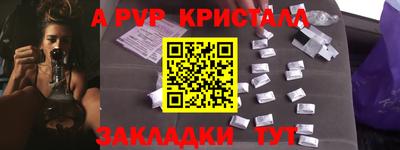 гидра Будённовск